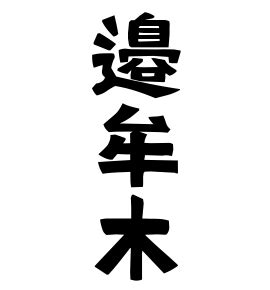 土生木|土生木の由来、語源、分布